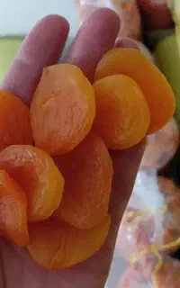 برگ زرد آلو، قیصی و آلوچه