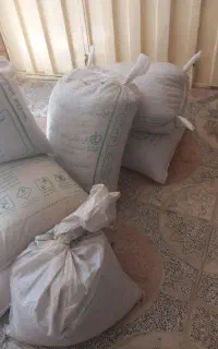 عدس و نخود