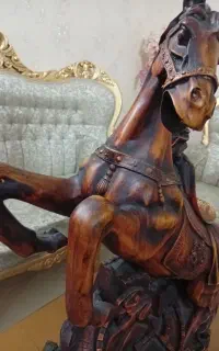 اسب کنار سالنی