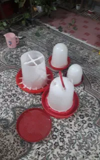 آبخوری دانخوری