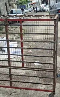 لانه برای سگ