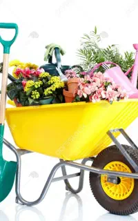 خدمات باغبانی ویلاها و کلیه ارگان ها