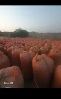 یونجه