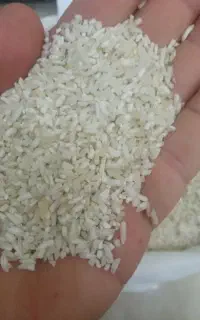 برنج ایرانی