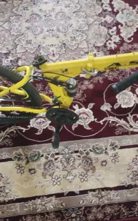 دوچرخه