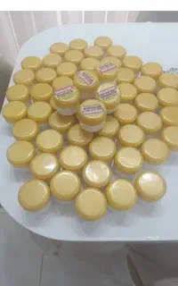 کرم درخشان
