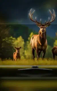 با روزی ۵۰ هزار تومان تلوزیون بخر حسینی بعثت ۳۸