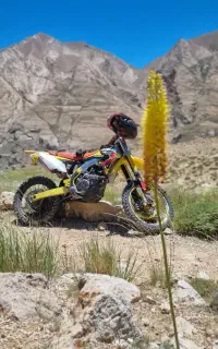 سوزوکی RMZ.450
