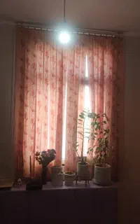 پرده