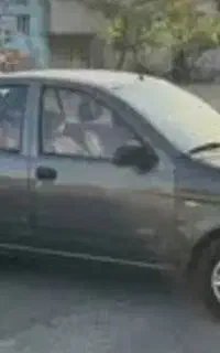 تیبا صندوق دار