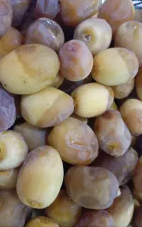 رطب و خرمای درجه یک