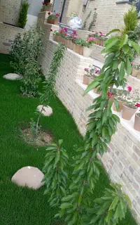 طراحی فضای سبز باغبانی هرس آبیاری قطره ای چمن