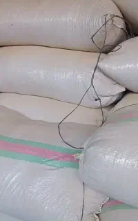 کاه نخود