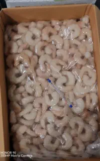 پخش عمده ماهی و میگو