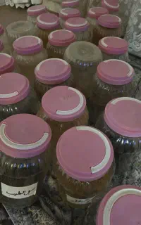 بانکه پلاستیکی 5کیلویی
