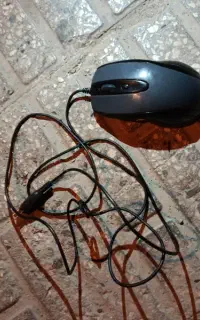 موس