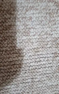 موکت گم شده