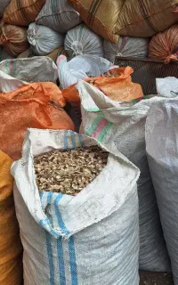 پوست بادام زمینی