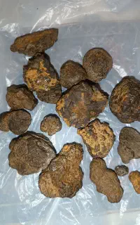 سنگ آهن