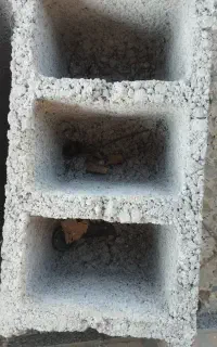 همکاری در کارگاه بلوک زنی
