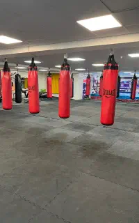 باشگاه محسن کردعلیوند