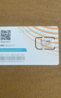 09938865119