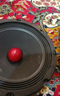 میدرنج ۸ اینچ