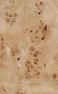 استخدام نجار یا ام دی اف کار