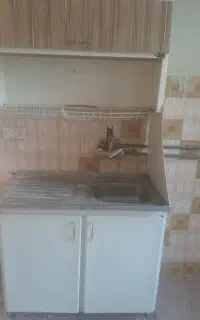 ظرف شویی همرا با آبچکان