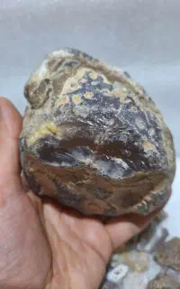 سنگ راف ، راف عقیق