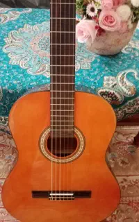 گیتار حرفه ای hofner