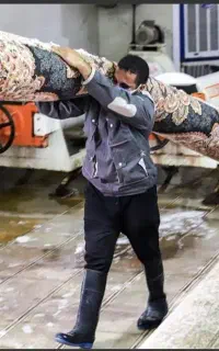 قالیشویی و مبل شویی آریانا کیانمهرگلشهرگوهردشت