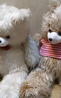 عروسک خرس سایز بزرگ