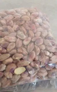 مغز پسته