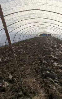 سیم گالوانیزه گلخانه و نایلون گلخانه