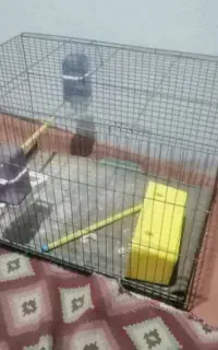 قفس پرنده با وسایلش