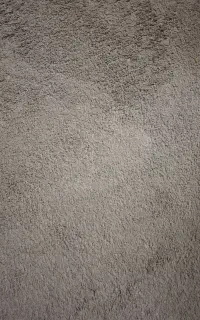 موکت پالاز