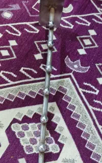 رگال