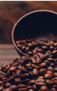 فروش و پخش دان قهوه بصورت جزیی و عمده
