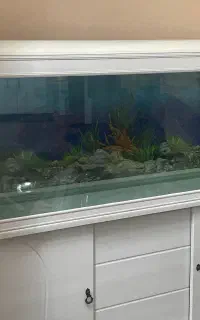 اکواریوم شیک مناسب افراد خاص