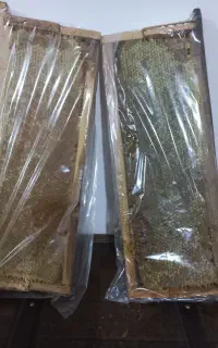 عسل طبیعی بهاره امسال(منطقه ارشق)