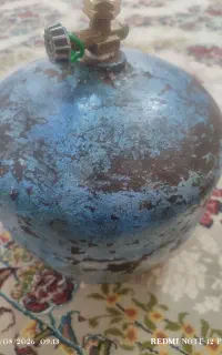 پیکنیک سالم با سری