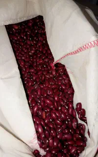 لوبیای درجه یک