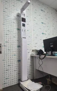 شماره تلفن رند