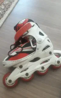 کفش اسکیت