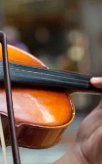 آموزش ویولن خصوصی منزل هنرجو و آنلاین