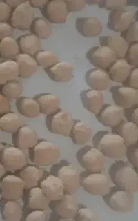 نخود آبی درجه یک