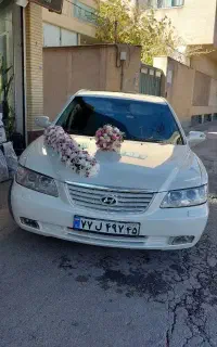 قصر گل(بلوار پارادیس، نبش ک 10) انواع گل آرایی