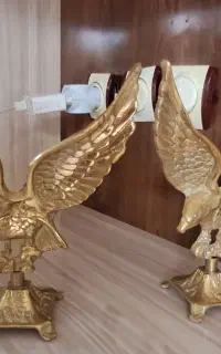 پرنده
