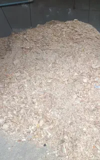 نونخشک تمیز خوراک آذردانه